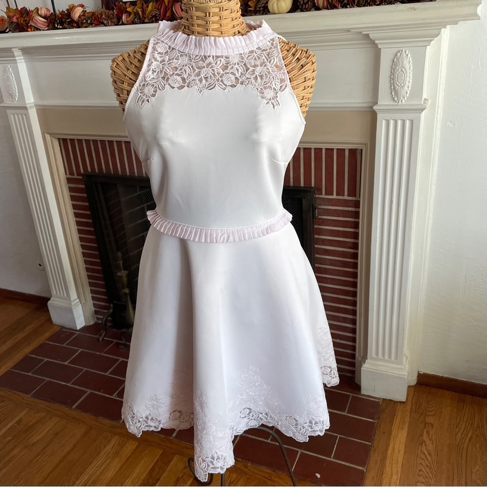 Ted Baker pink fit flare lace dress 2